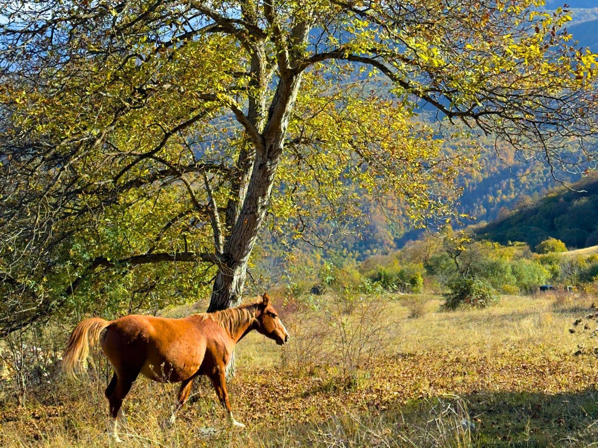 Kanach tun Yenokavan Bagian luar foto